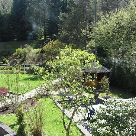 Pension Zum Rothaarsteig Netphen Bagian luar foto