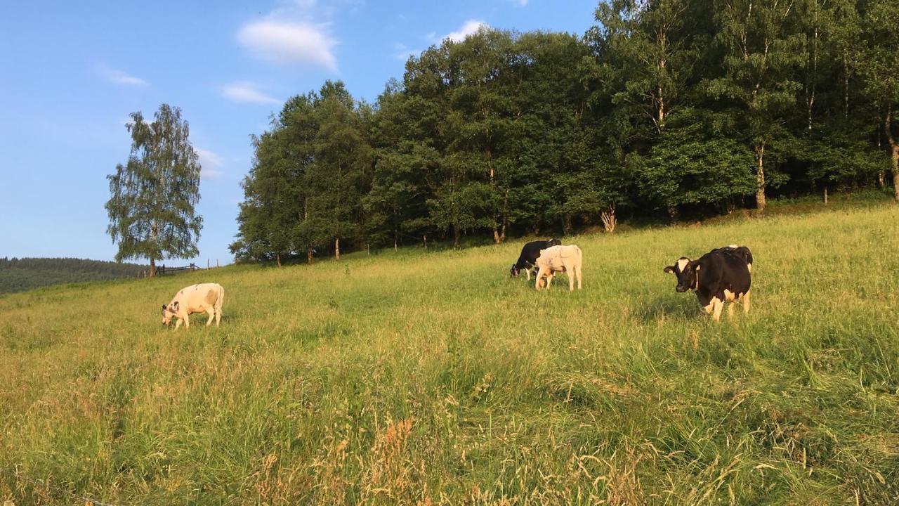 Pension Zum Rothaarsteig Netphen Bagian luar foto