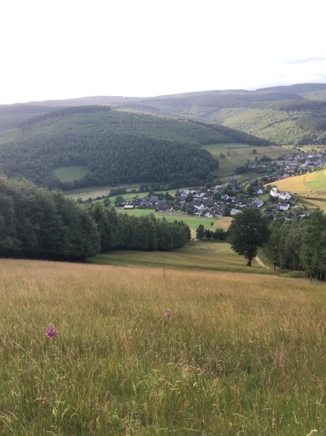 Pension Zum Rothaarsteig Netphen Bagian luar foto