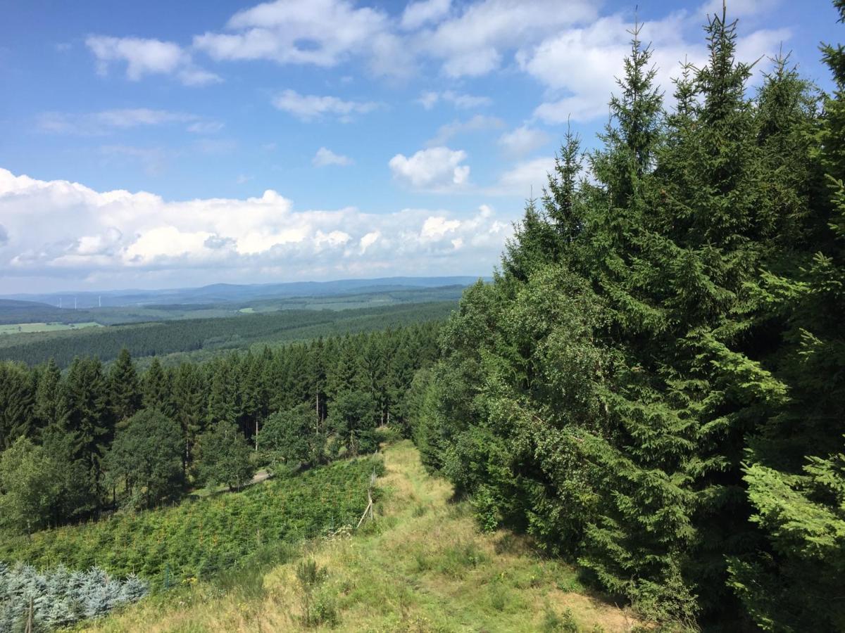 Pension Zum Rothaarsteig Netphen Bagian luar foto