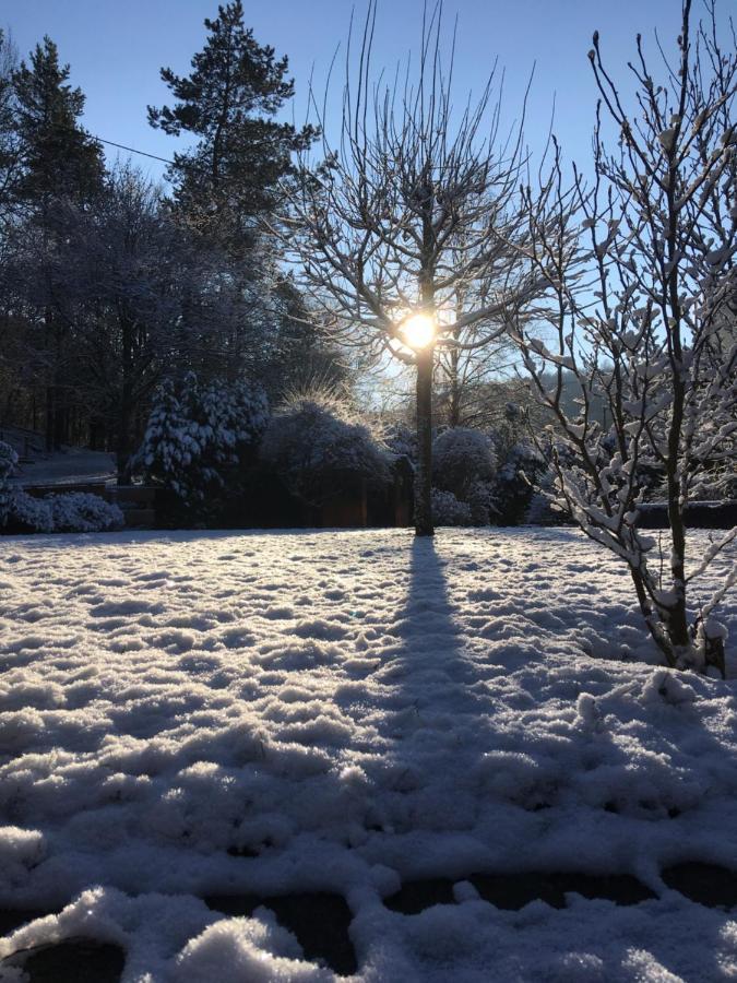 Pension Zum Rothaarsteig Netphen Bagian luar foto