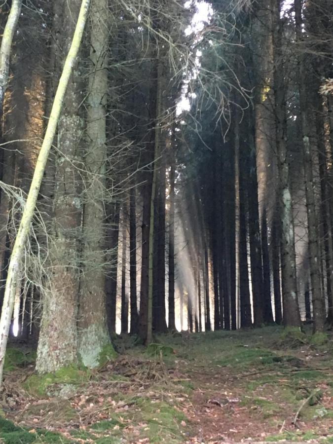 Pension Zum Rothaarsteig Netphen Bagian luar foto