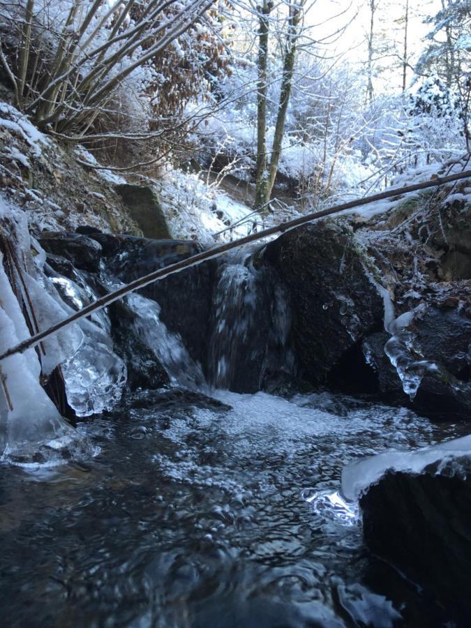Pension Zum Rothaarsteig Netphen Bagian luar foto