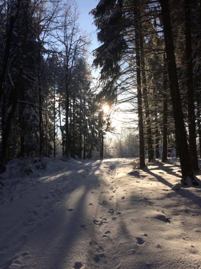 Pension Zum Rothaarsteig Netphen Bagian luar foto