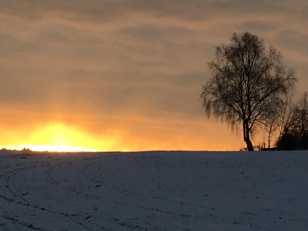 Pension Zum Rothaarsteig Netphen Bagian luar foto